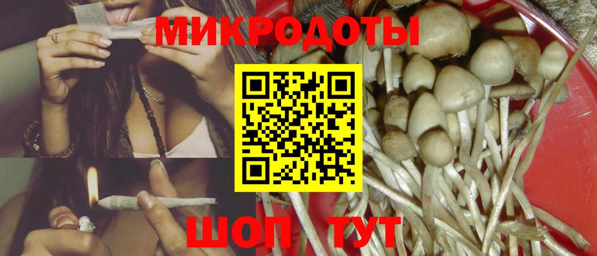 Псилоцибиновые грибы Psilocybe Бугуруслан