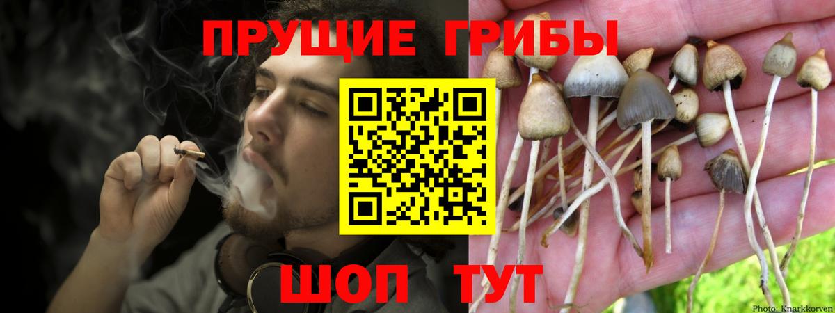 Псилоцибиновые грибы MAGIC MUSHROOMS  Вход с VPN  Бугуруслан 